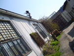 obrazek galerie