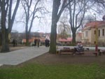 obrazek galerie