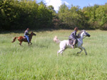 obrazek galerie