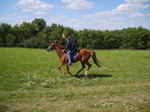 obrazek galerie