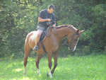 obrazek galerie